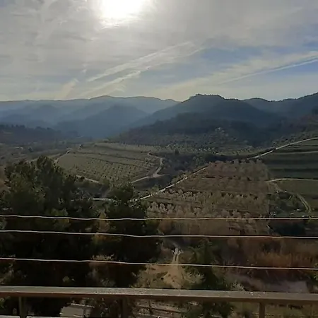 Ca L'Aleixa Appartement Bisbal de Falset Buitenkant foto